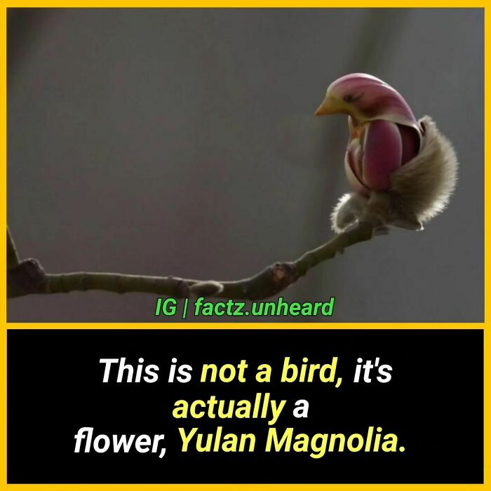 Interesting-Facts-Factzunheard