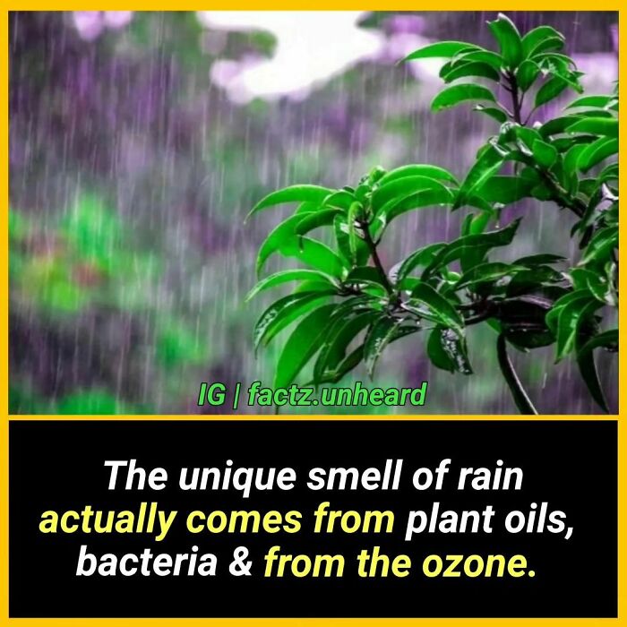 Interesting-Facts-Factzunheard