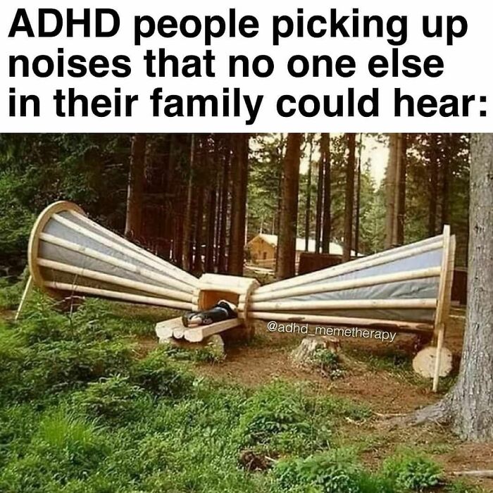 Person lying inside giant wooden ear structure in the forest, humorously depicting ADHD and sound sensitivity.