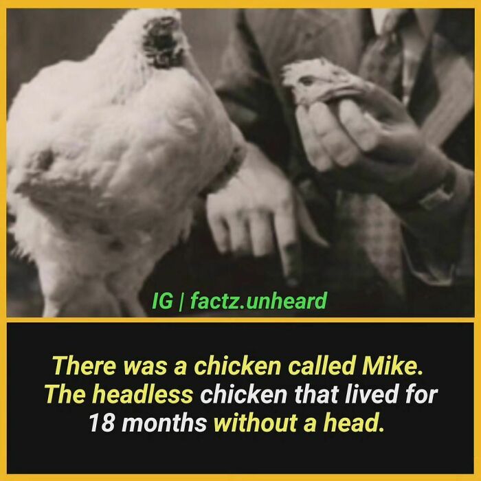 Interesting-Facts-Factzunheard