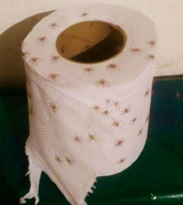 Roll of toilet paper covered with numerous small spiders, creating a dark and bizarre reality twist captured in a bizarre pic.