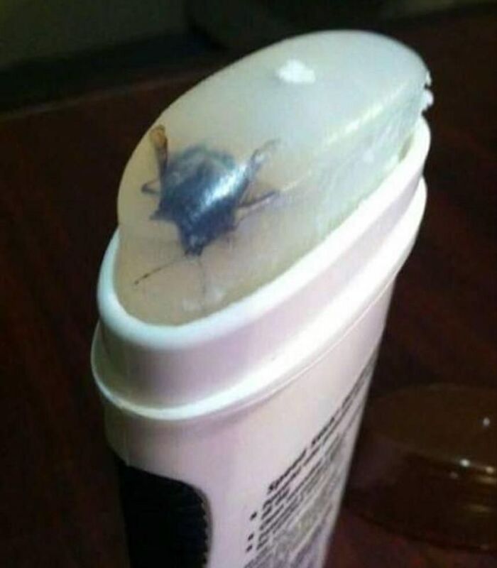 Random-Cursed-Images