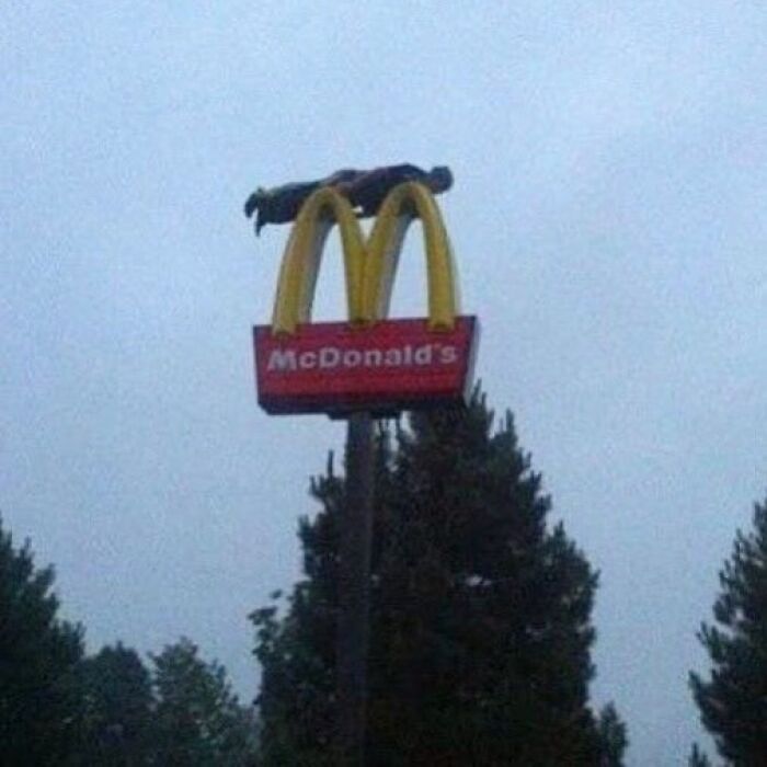 Person lying face down on top of a McDonald's sign, showcasing bizarre pics with a dark, hilarious twist in reality.