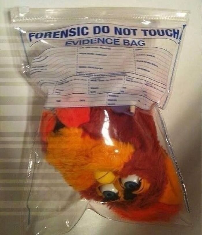 Stuffed animal in a forensic evidence bag, showing a bizarre and dark twist in reality captured in one photo.