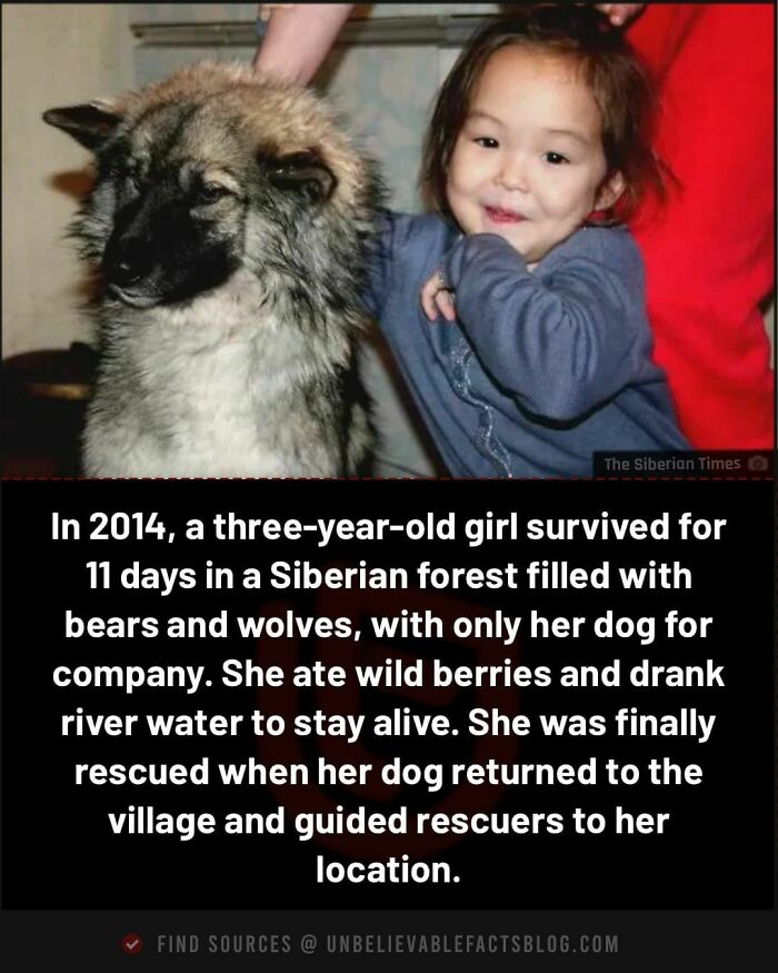 Young girl with a dog, symbolizing unbelievable survival in Siberian forest.