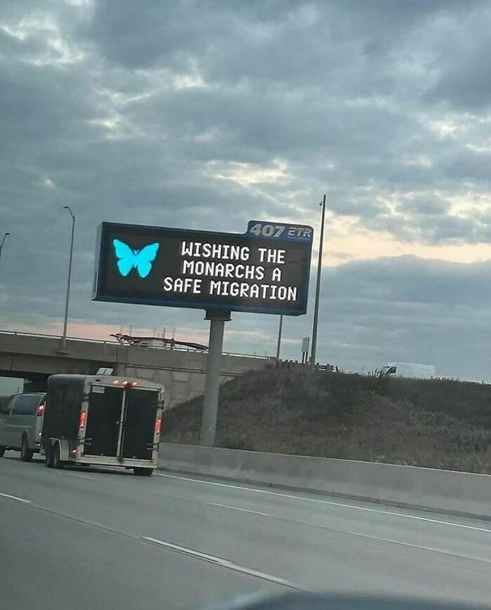 Highway sign with blue butterfly icon wishing monarch butterflies a safe migration, a delightfully random photo on a cloudy day.
