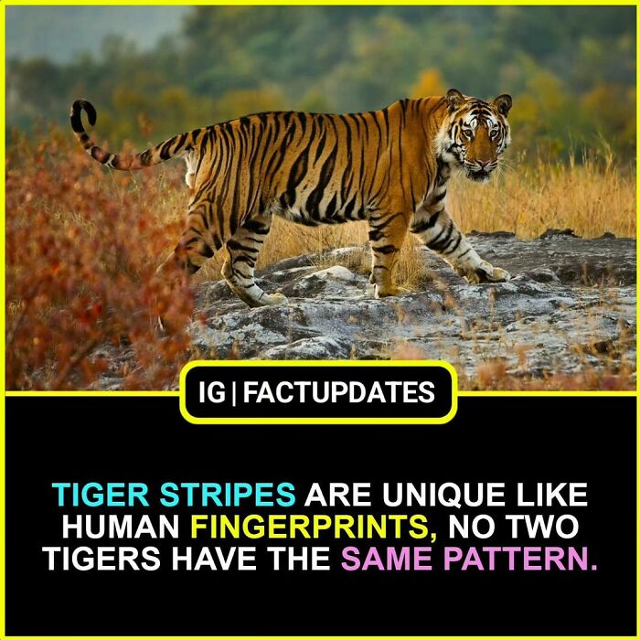 Interesting-Unknown-Random-Facts