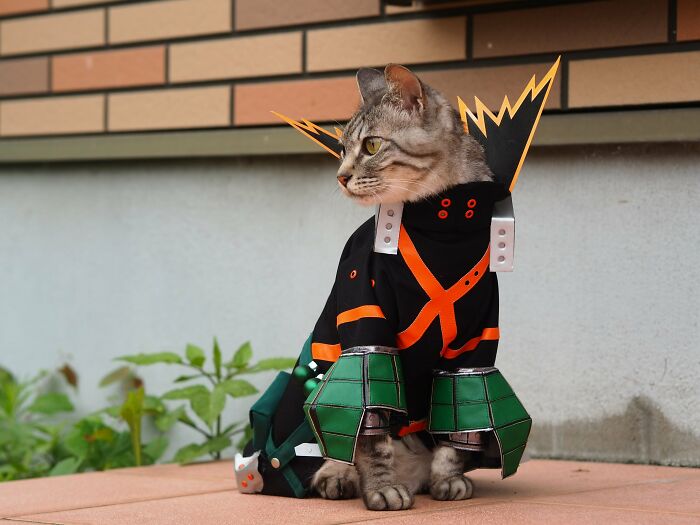 Katsuki Bakugo From My Hero Academia