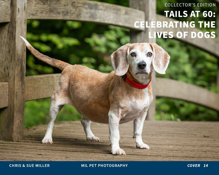 Vote For Cover 14 - Billie Jean