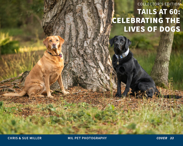 Vote For Cover 33 - Maple And Dexter