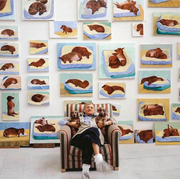 Person sitting in a striped chair holding two dogs surrounded by paintings of sleeping dogs in a delightfully random photo display.