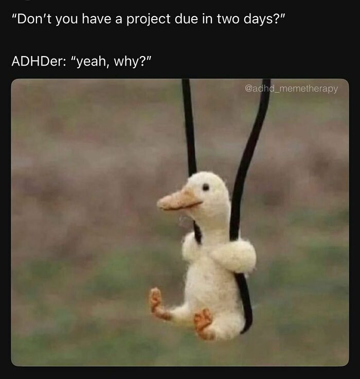 A toy duck suspended by strings, illustrating relatable ADHD humor with a funny caption.