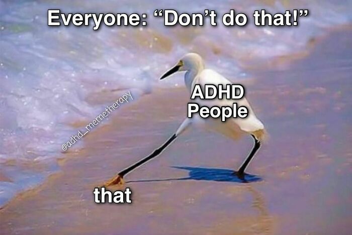 A bird representing ADHD people humorously ignores a "don't do that" warning, relatable to attention challenges.