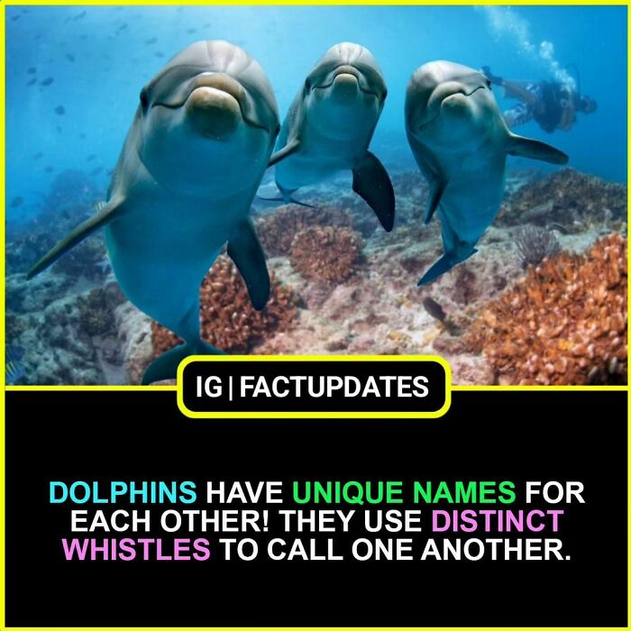 Interesting-Unknown-Random-Facts