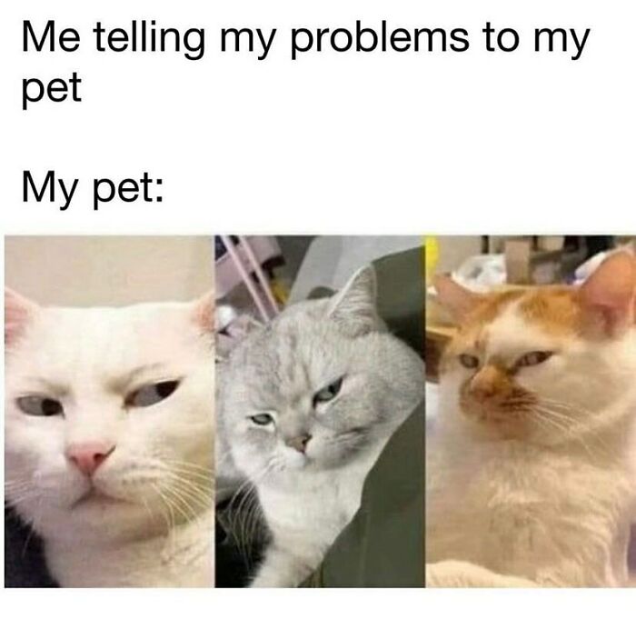 Funny-Relatable-Girl-Posts