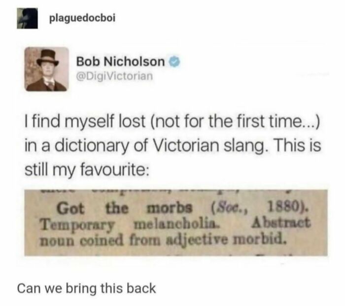 Screenshot of a literary meme discussing Victorian slang definition of "the morbs" from a funny literary meme IG page.