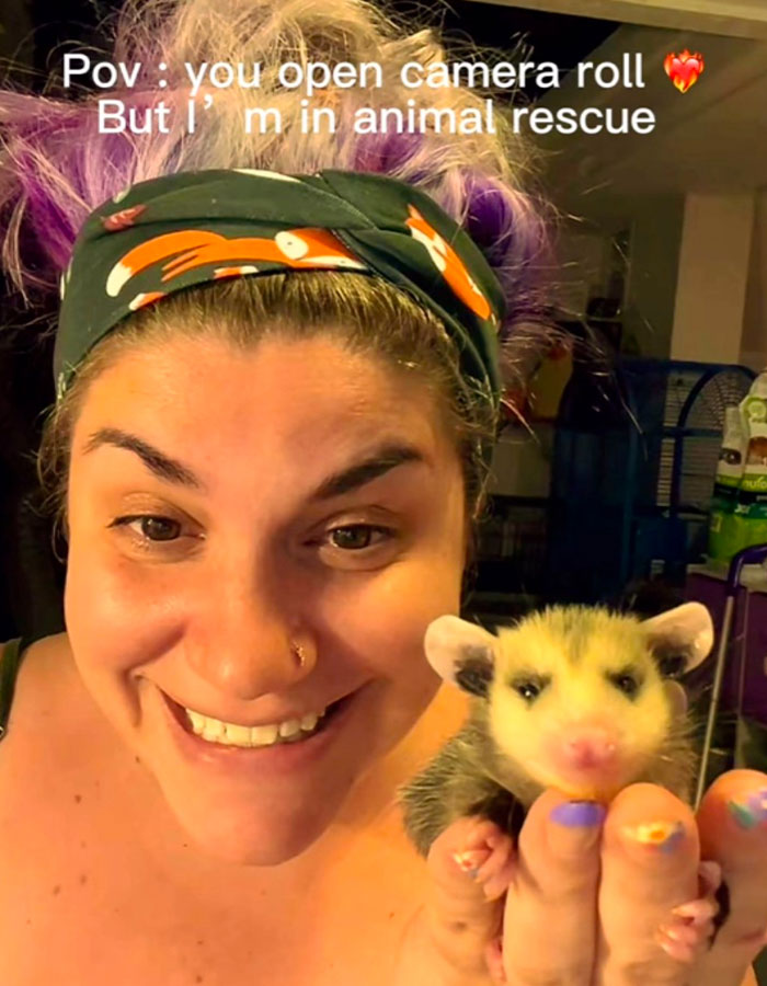 “Such Ignorance”: Toxic Side Of Animal Rescue Shown After TikToker’s Heated Exchange With Hater “Such Ignorance”: Toxic Side Of Animal Rescue Shown After TikToker’s Heated Exchange With Hater