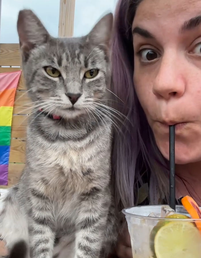 “Such Ignorance”: Toxic Side Of Animal Rescue Shown After TikToker’s Heated Exchange With Hater “Such Ignorance”: Toxic Side Of Animal Rescue Shown After TikToker’s Heated Exchange With Hater