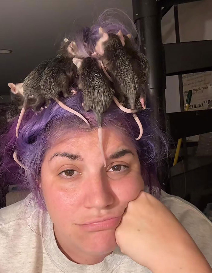 “Such Ignorance”: Toxic Side Of Animal Rescue Shown After TikToker’s Heated Exchange With Hater “Such Ignorance”: Toxic Side Of Animal Rescue Shown After TikToker’s Heated Exchange With Hater