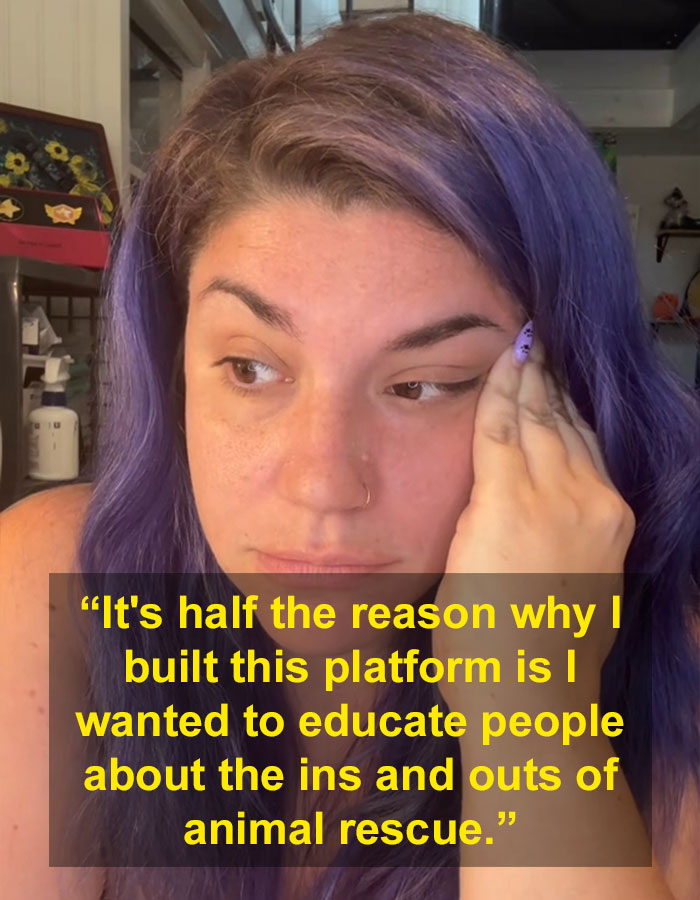 “Such Ignorance”: Toxic Side Of Animal Rescue Shown After TikToker’s Heated Exchange With Hater “Such Ignorance”: Toxic Side Of Animal Rescue Shown After TikToker’s Heated Exchange With Hater