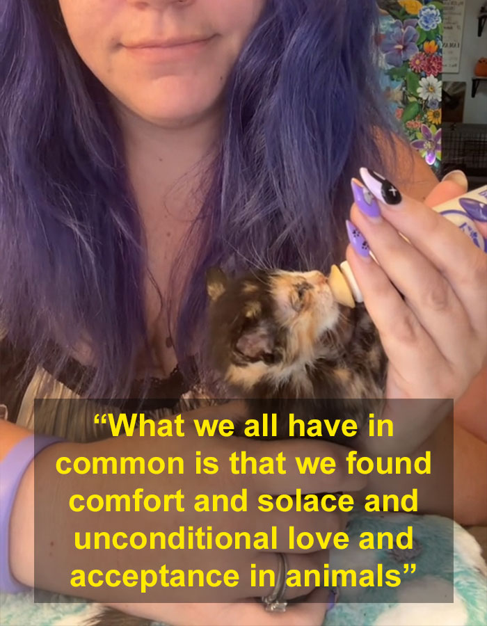 “Such Ignorance”: Toxic Side Of Animal Rescue Shown After TikToker’s Heated Exchange With Hater “Such Ignorance”: Toxic Side Of Animal Rescue Shown After TikToker’s Heated Exchange With Hater