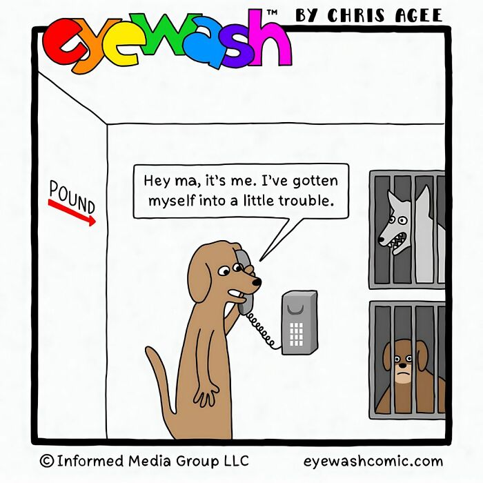 Single-panel comic by Chris Agee showing a dog in a pound making a phone call with a witty caption.