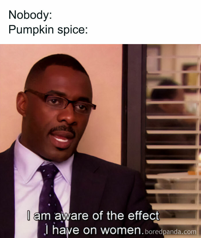 Pumpkin spice meme with text: "Nobody: Pumpkin spice: I am aware of the effect I have on women." Cozy fall vibes humor.