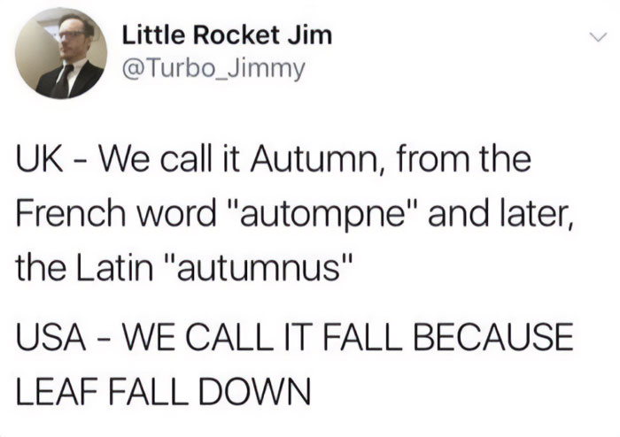 Fall meme comparing UK term "Autumn" with USA term "Fall," illustrating seasonal language differences.