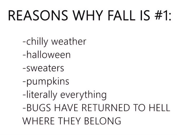 Fall meme highlighting cozy vibes with reasons like chilly weather, Halloween, sweaters, pumpkins, and absence of bugs.