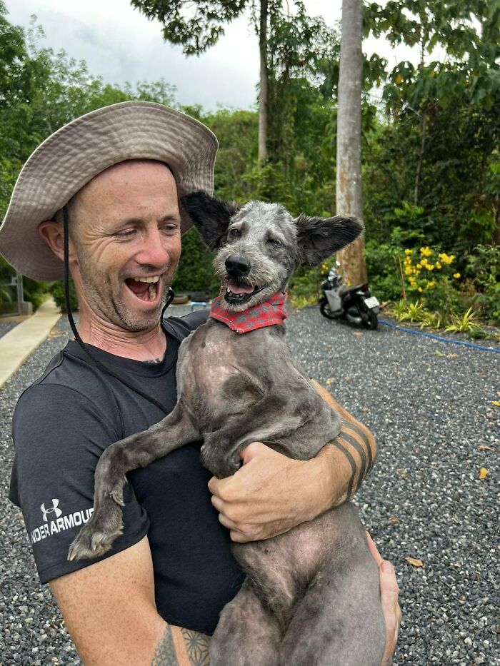 Stray Dog Is Melting Hearts Online For Bringing A Gift For Man Every time He Comes To Feed Her