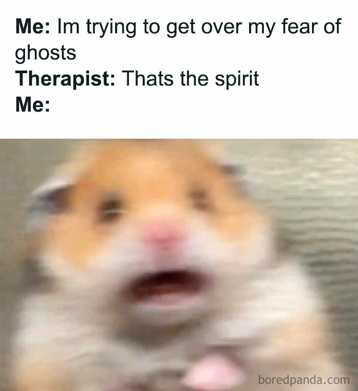 Blurry, panicked hamster meme with text: "Me: I'm trying to get over my fear of ghosts. Therapist: That's the spirit. Me:". Hamster meme humor.