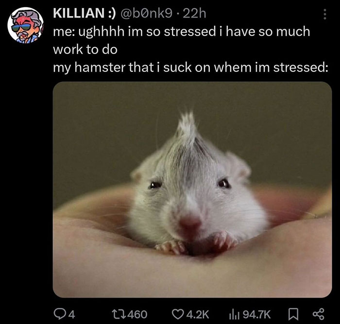 Sleepy hamster meme in hand with funny stress-relief text.