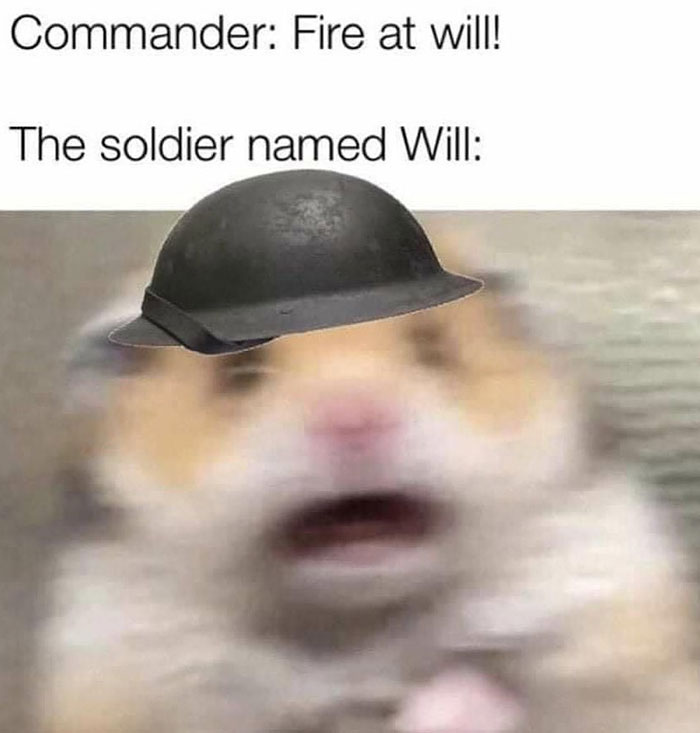 Blurry hamster meme with helmet, text: "Commander: Fire at will! The soldier named Will."