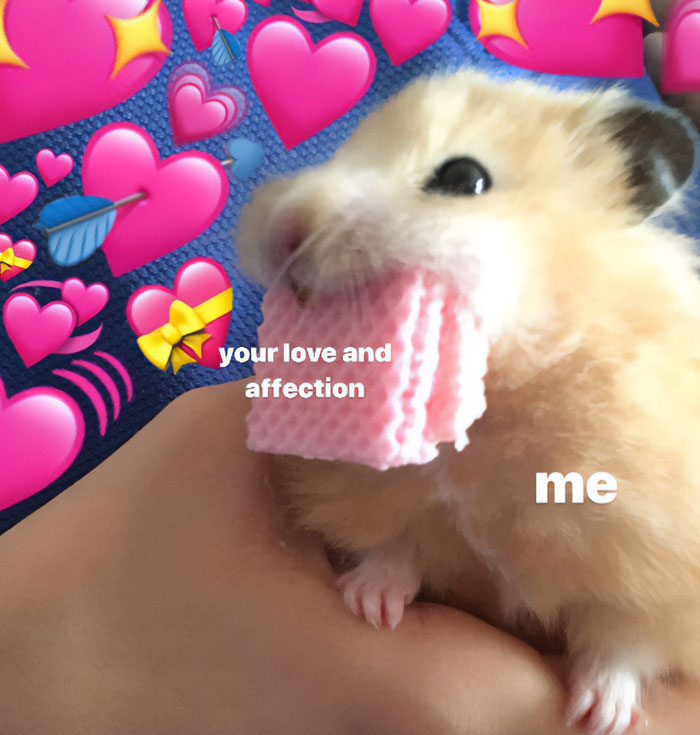 Hamster meme: hamster with pink wafer labeled "your love and affection," surrounded by pink heart emojis.