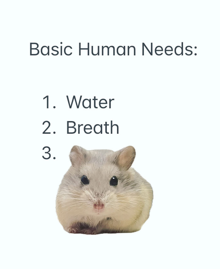 Hamster meme with puffed cheeks under text "Basic Human Needs: 1. Water 2. Breath 3."