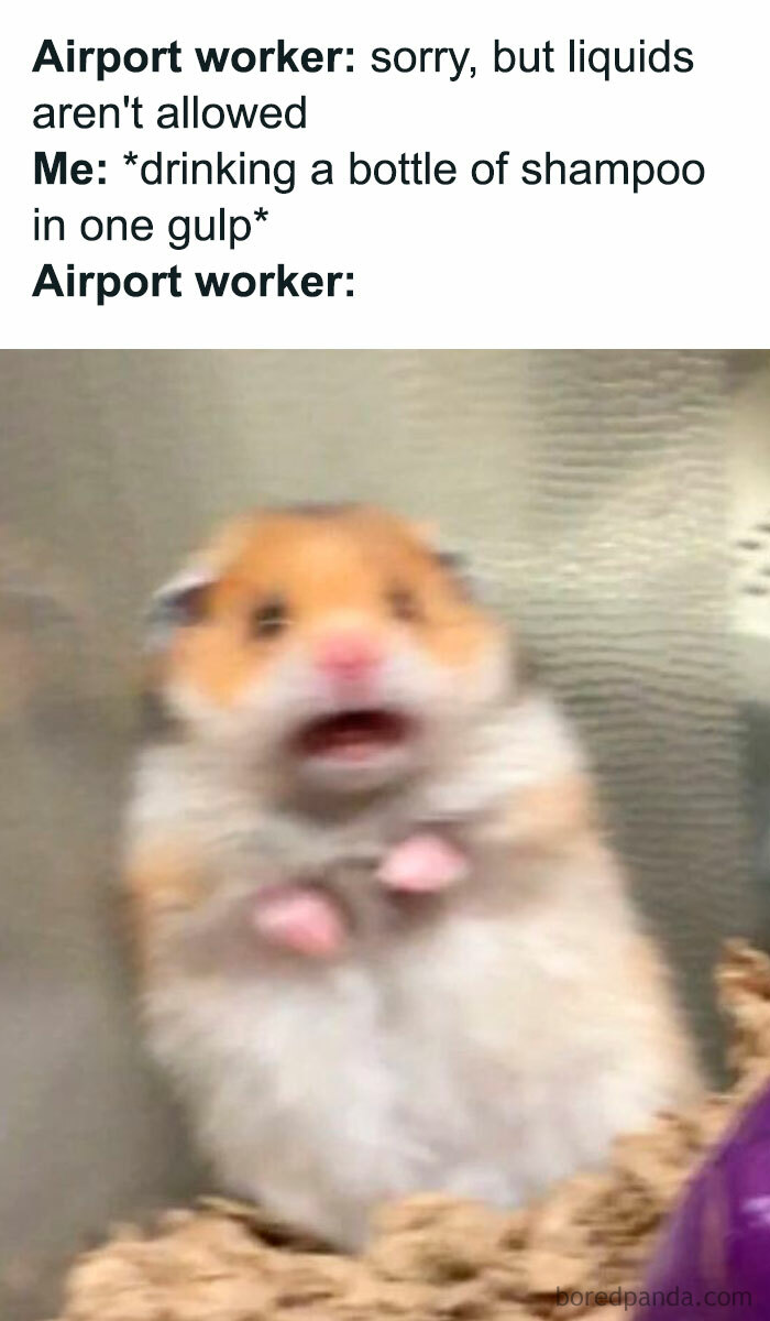 Panicked blurry hamster meme about drinking shampoo at airport security, evoking laughter with hamster humor.