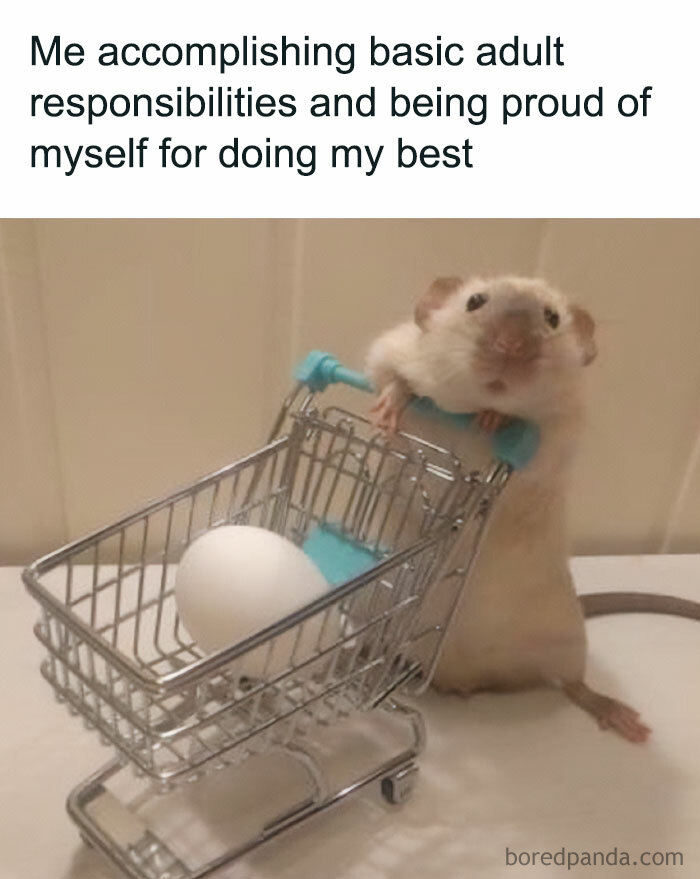 Hamster meme with hamster pushing a tiny cart holding an egg, captioned about adult responsibilities.