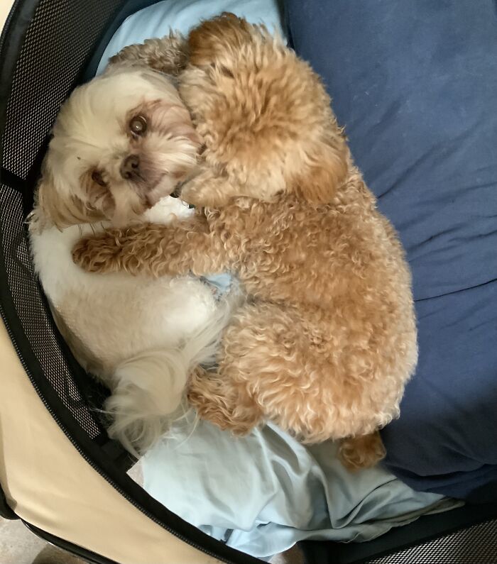 Happy And Peanut Love Each Other!