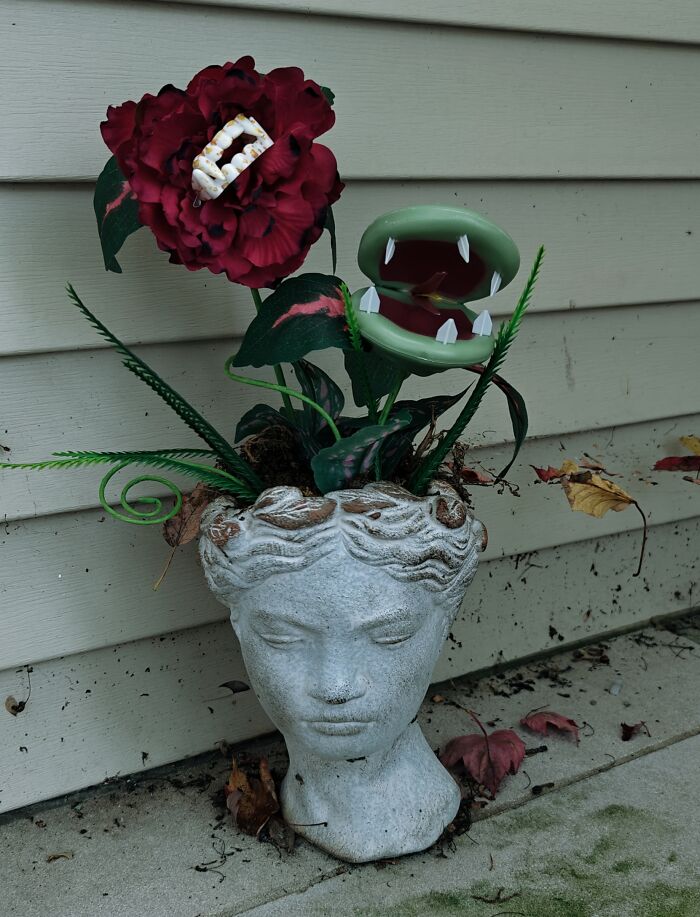 We Can't Keep Plants Alive, So This Will Do