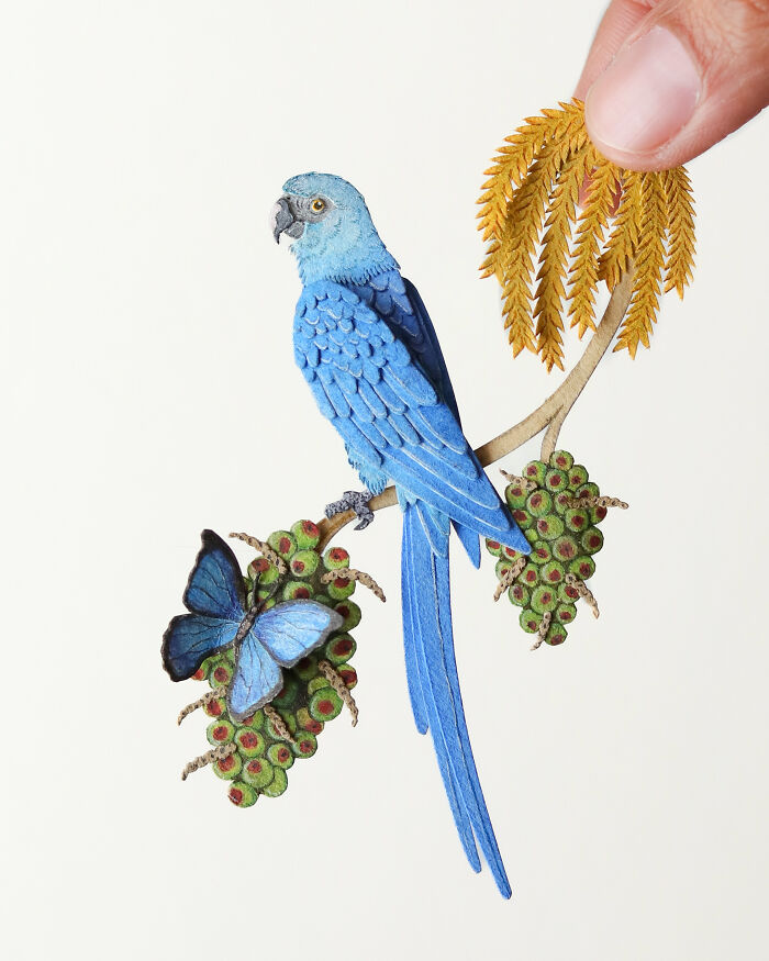 Spix Macaw