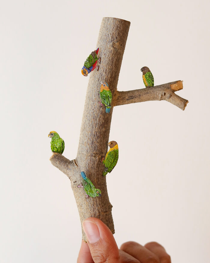 Flock Of Pygmy Parrots
