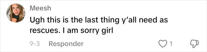 “Such Ignorance”: Toxic Side Of Animal Rescue Shown After TikToker’s Heated Exchange With Hater “Such Ignorance”: Toxic Side Of Animal Rescue Shown After TikToker’s Heated Exchange With Hater