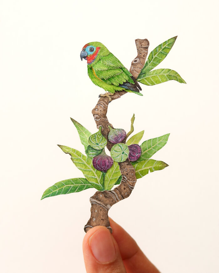 Double-Eyed Fig Parrot