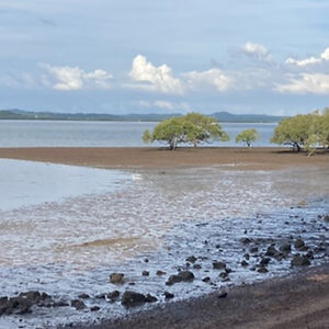 laurenmills_2 avatar