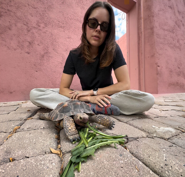 This Woman Has Become True Besties With A Sonoran Desert Tortoise She Recently Adopted