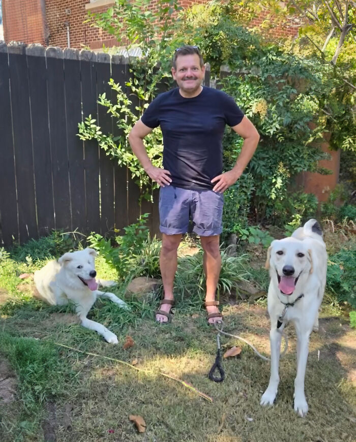 Meet Spinach - One-Eyed Dog Who Refused To Give Up And Finally Was Adopted By A Loving Family