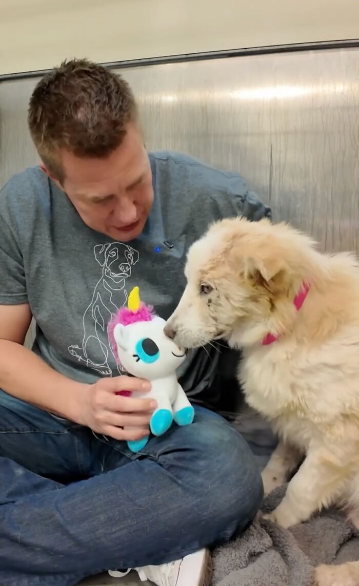 Video About Shelter Pup Getting Cuddles For The First Time Is Melting Hearts All Over The Internet