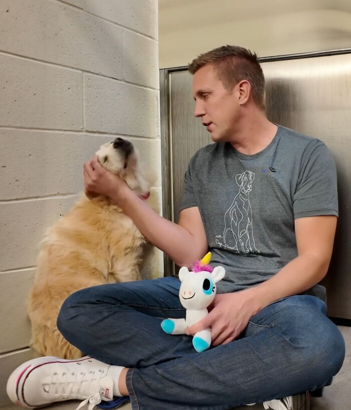Video About Shelter Pup Getting Cuddles For The First Time Is Melting Hearts All Over The Internet