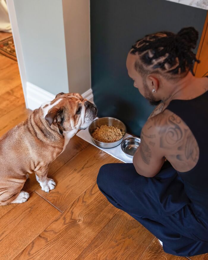 Lewis Hamilton Slammed For Putting Dog On Plant-Based Diet: “Put A Steak In Front Of Him” Lewis Hamilton Slammed For Putting Dog On Plant-Based Diet: “Put A Steak In Front Of Him”