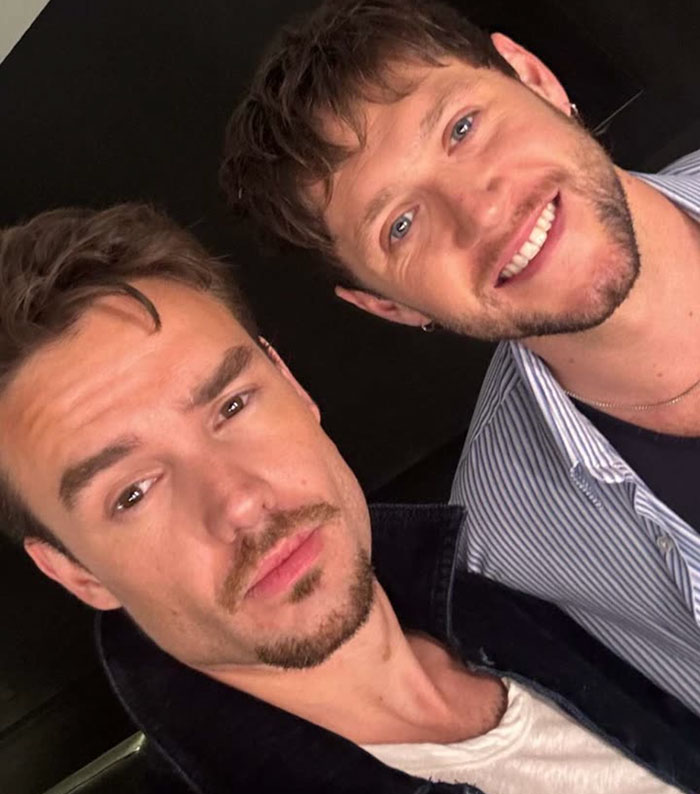 Liam Payne Went To Argentina To &ldquo;Square&rdquo; Things Up With Niall Horan: &ldquo;We&rsquo;ve Got A Lot To Talk&rdquo;
